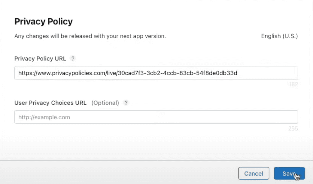 Paste Privacy Policy URL