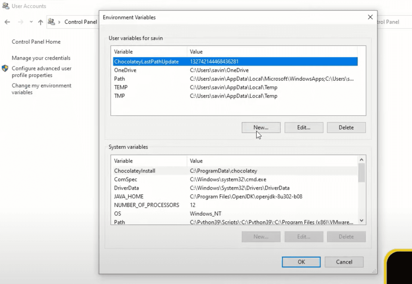 New Environment Variables