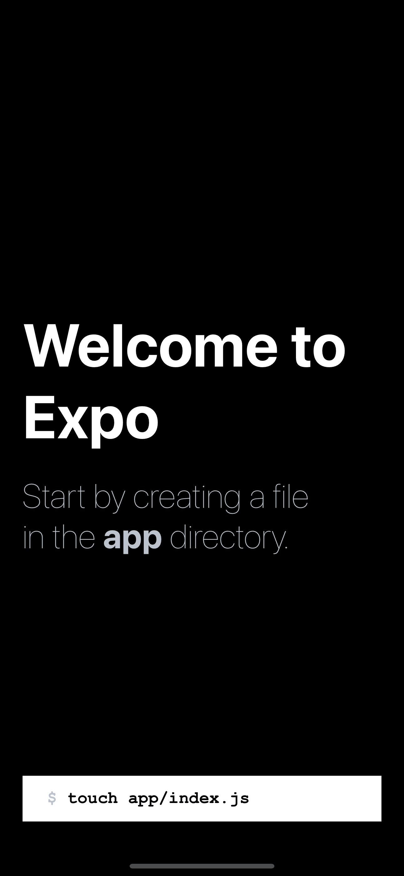 New expo router project